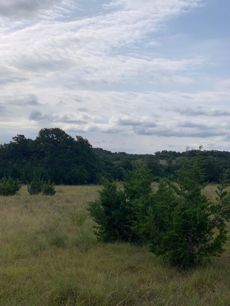 part of edmond ranch: 000 FM 32, Blanco, TX 78606